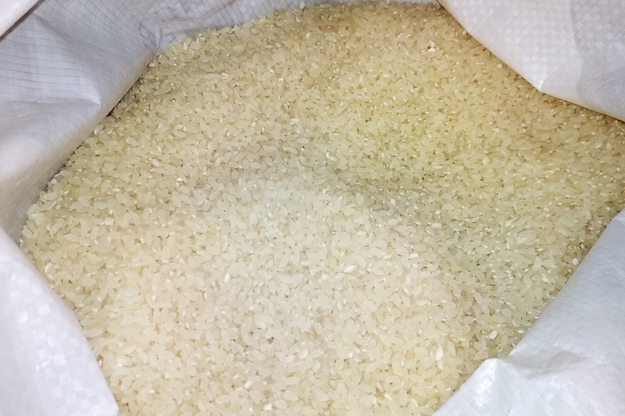 Зерна отборного среднезерного риса Wike Rice